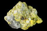 Yellow Orpiment - Crven Dol Mine, Macedonia #153337-1